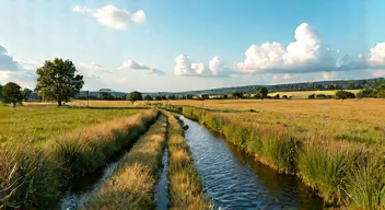 Die 6 häufigsten Fehler bei Moorrenaturierung